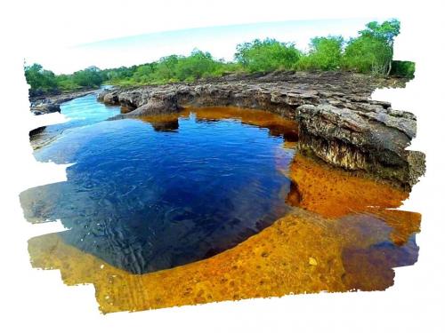 SAN JOSE DEL GUAVIARE - GUAVIARE